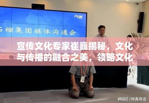 宣传文化专家崔巍揭秘，文化与传播的融合之美，领略文化与宣传的无限魅力！