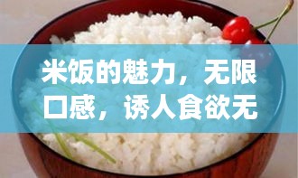 米饭的魅力，无限口感，诱人食欲无限可能