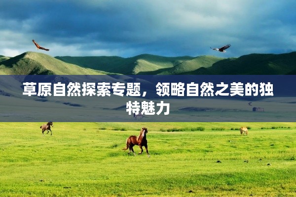 草原自然探索专题，领略自然之美的独特魅力