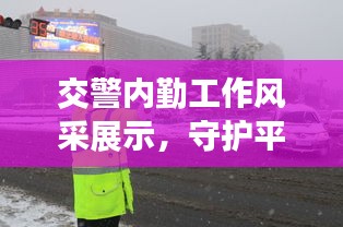 交警内勤工作风采展示，守护平安背后的默默力量