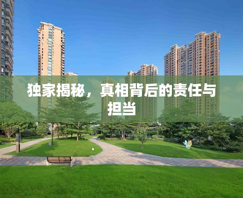 独家揭秘，真相背后的责任与担当