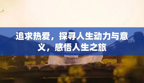 刚毅木讷 第2页