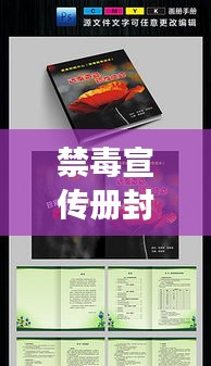 禁毒宣传册封面设计，揭秘其重要性，提升禁毒意识的首页魅力