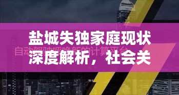 盐城失独家庭现状深度解析，社会关怀的呼唤与行动