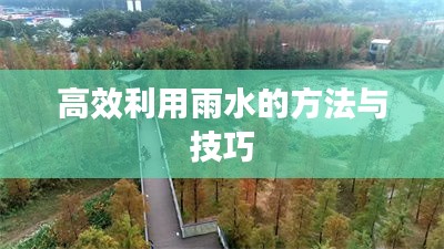 高效利用雨水的方法与技巧