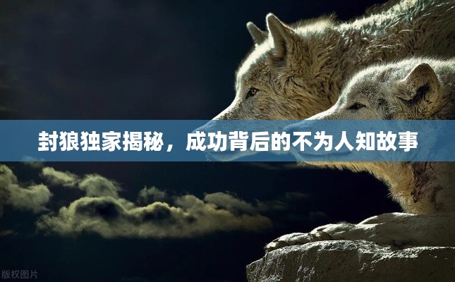 封狼独家揭秘，成功背后的不为人知故事