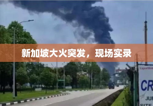 新加坡大火突发，现场实录
