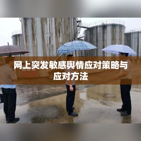 网上突发敏感舆情应对策略与应对方法