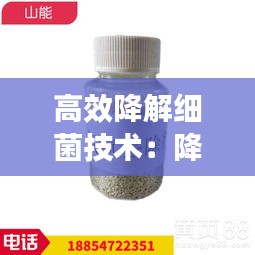 百不获一 第2页