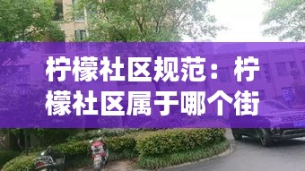 柠檬社区规范：柠檬社区属于哪个街道 