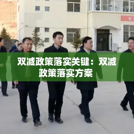 双减政策落实关键：双减政策落实方案 