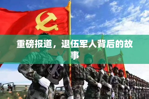 重磅报道，退伍军人背后的故事