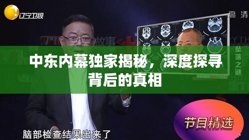 中东内幕独家揭秘，深度探寻背后的真相