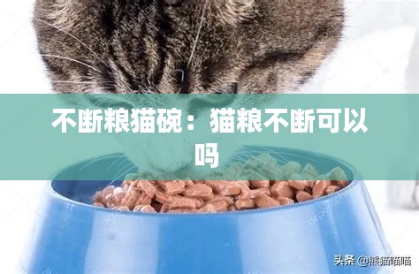 不断粮猫碗：猫粮不断可以吗 