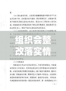 组织会整改落实情况：组织工作整改措施 
