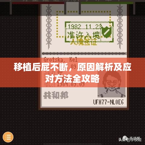 移植后屁不断，原因解析及应对方法全攻略