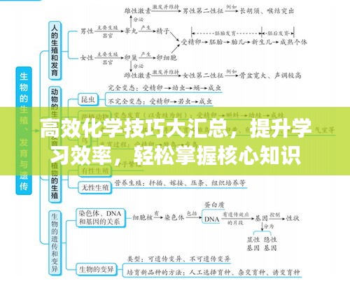 高效化学技巧大汇总，提升学习效率，轻松掌握核心知识