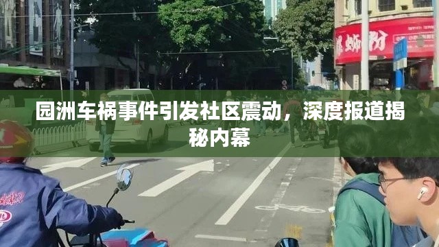 园洲车祸事件引发社区震动，深度报道揭秘内幕