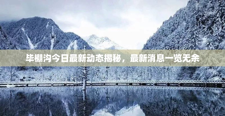 笼鸟槛猿 第2页