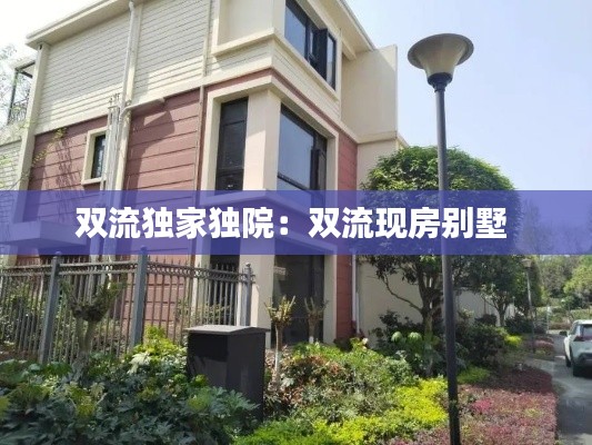 双流独家独院：双流现房别墅 