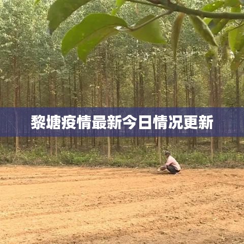 黎塘疫情最新今日情况更新