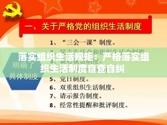 落实组织生活规矩：严格落实组织生活制度自查自纠 