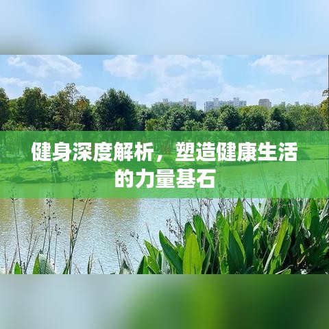 健身深度解析，塑造健康生活的力量基石