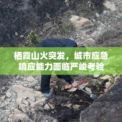 栖霞山火突发，城市应急响应能力面临严峻考验