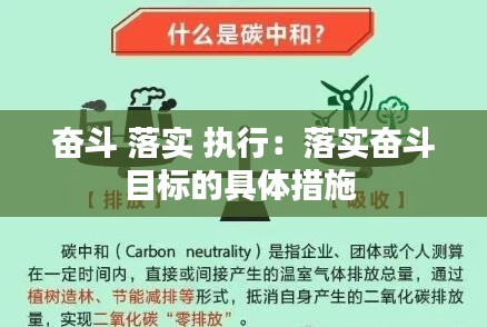 奋斗 落实 执行：落实奋斗目标的具体措施 