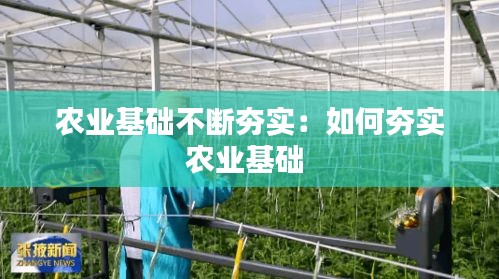 农业基础不断夯实：如何夯实农业基础 