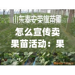 怎么宣传卖果苗活动：果苗广告词 