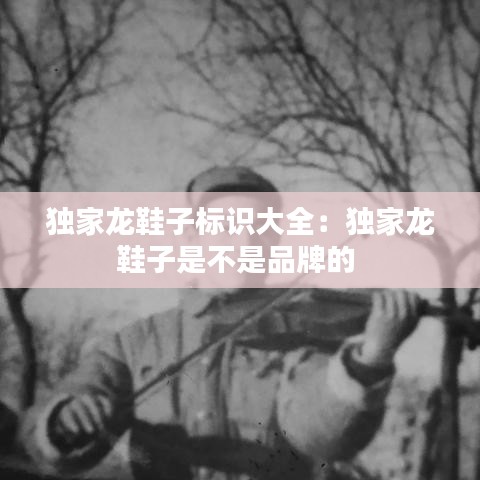 独家龙鞋子标识大全：独家龙鞋子是不是品牌的 