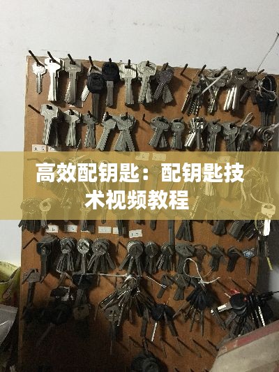 高效配钥匙：配钥匙技术视频教程 
