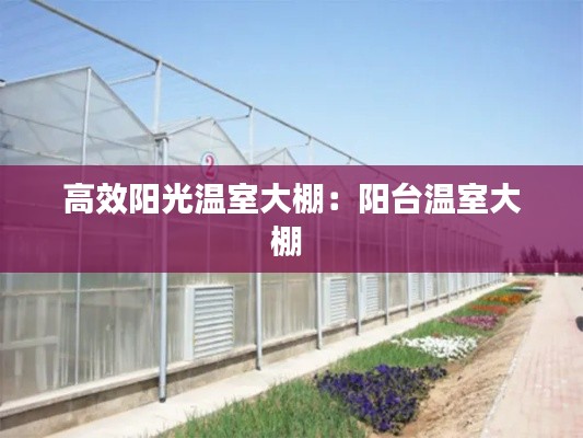 老死不相往来 第2页
