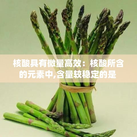核酸具有微量高效：核酸所含的元素中,含量较稳定的是 