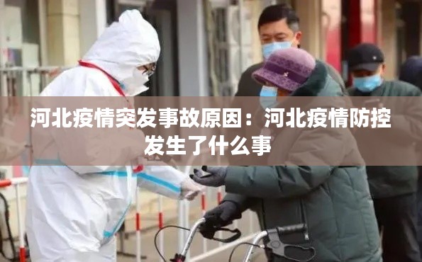 河北疫情突发事故原因：河北疫情防控发生了什么事 