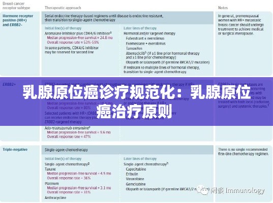 乳腺原位癌诊疗规范化：乳腺原位癌治疗原则 