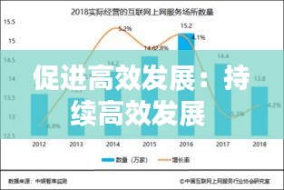 促进高效发展：持续高效发展 