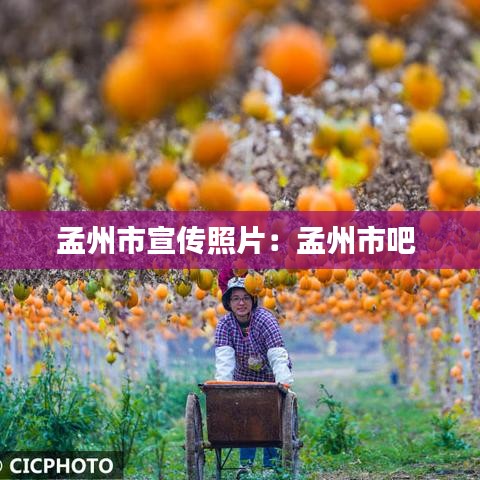孟州市宣传照片：孟州市吧 