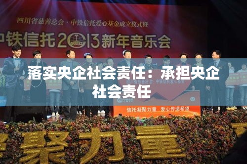 落实央企社会责任：承担央企社会责任 