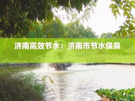 济南高效节水：济南市节水保泉 