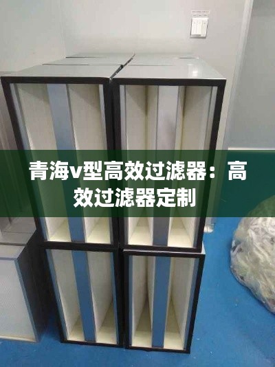 青海v型高效过滤器：高效过滤器定制 