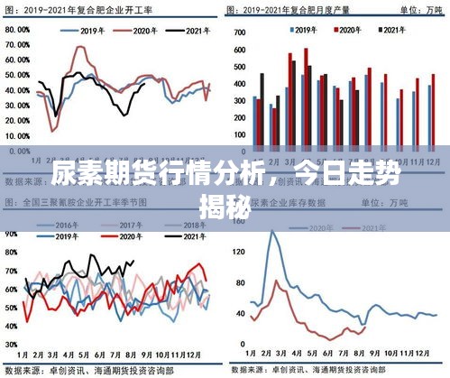 尿素期货行情分析，今日走势揭秘