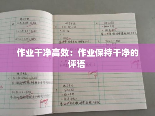 作业干净高效：作业保持干净的评语 