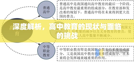 深度解析，高中教育的现状与面临的挑战