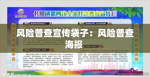 风险普查宣传袋子：风险普查海报 