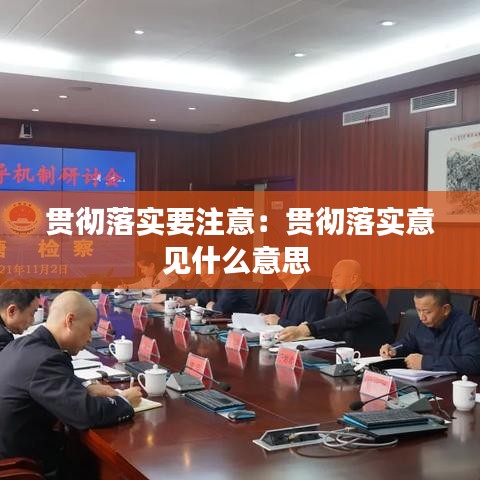 贯彻落实要注意：贯彻落实意见什么意思 