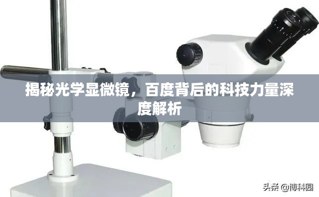 揭秘光学显微镜，百度背后的科技力量深度解析