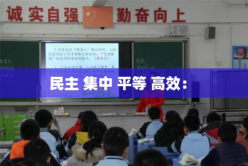 民主 集中 平等 高效： 