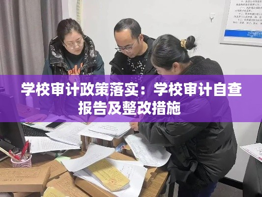 学校审计政策落实：学校审计自查报告及整改措施 